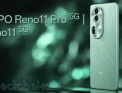 Harga Oppo Reno 11 Series di Indonesia, Dimulai dari Rp 5 Jutaan!