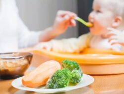 Tips dan Rekomendasi Resep MPASI Bayi 6 Bulan Pertama Untuk Menu Selingan