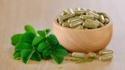 aPq2cC ilustrasi gambar daun