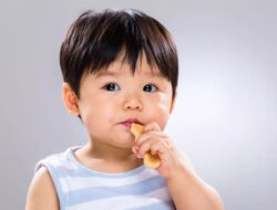 17 Rekomendasi Biskuit Untuk Selingan MPASI Anak