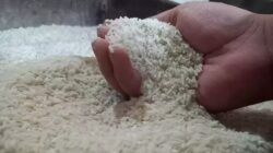 spmpJM usulan inovatif ketua asosiasi umkm pondok petir sejahtera untuk kemajuan program kreatif