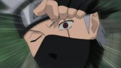 UIMG20240708668bff8d30932