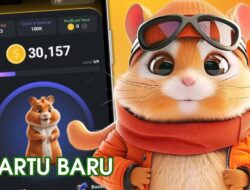 Combo Harian Hamster Kombat 23 Juli 2024: Gratis 5 Juta Koin Setiap Hari!