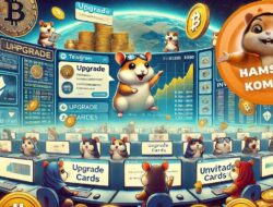 Combo Harian Hamster Kombat 21 Juli 2024: Gratis 5 Juta Koin Hari ini!