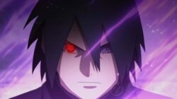 UIMG20240710668db384522fb