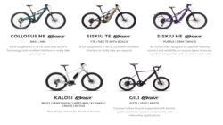 UIMG20240711668f16fb182f9