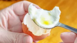 Makan Telur Tiap Hari Malah Bikin Kolesterol Turun Drastis