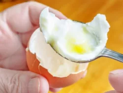 Ternyata Makan Telur Tiap Hari Bisa Jadi Senjata Lawan Kolesterol Jahat